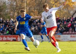 ZFC Meuselwitz FC Carl Zeiss Jena 23112024 18